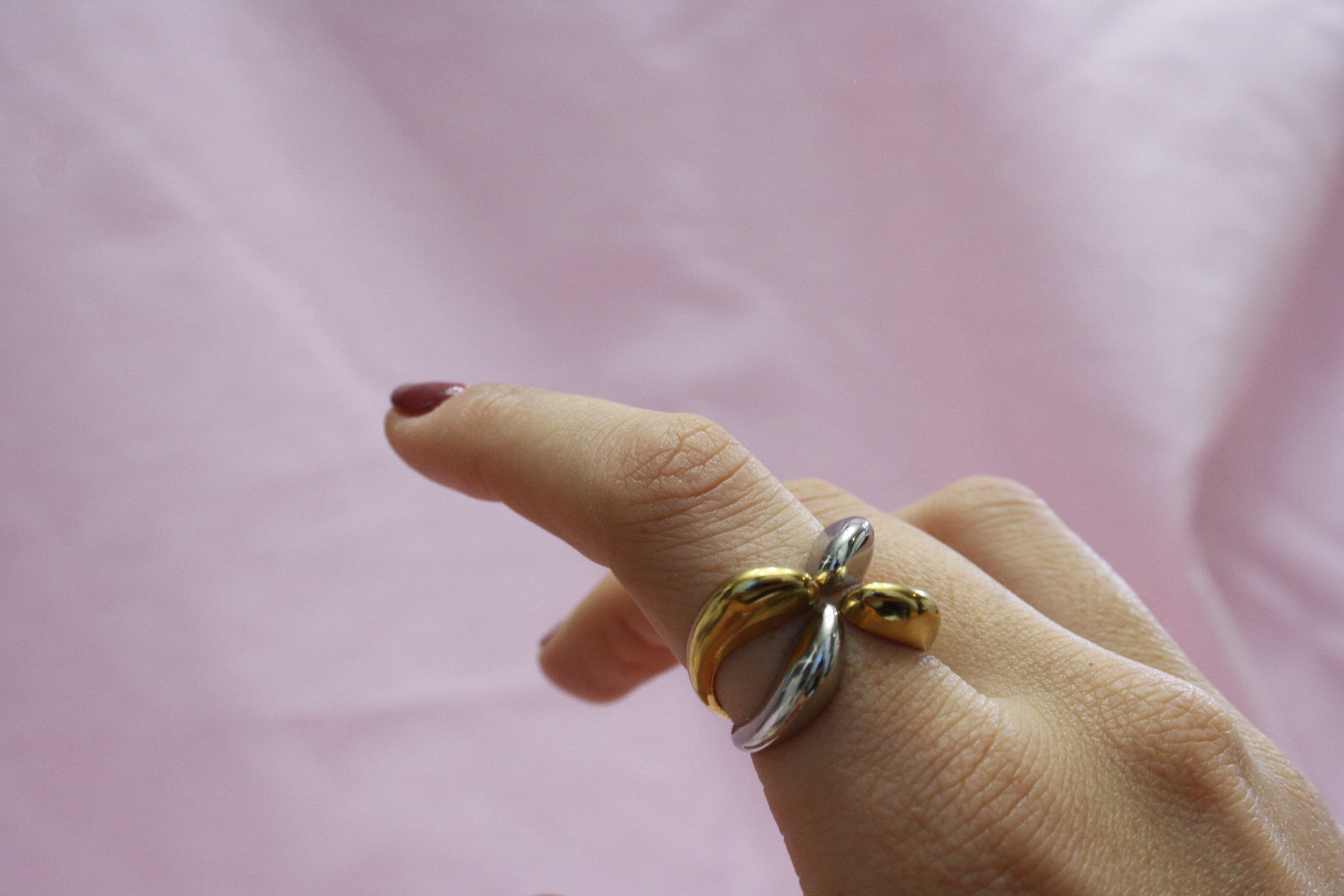 Anillo Bicolor